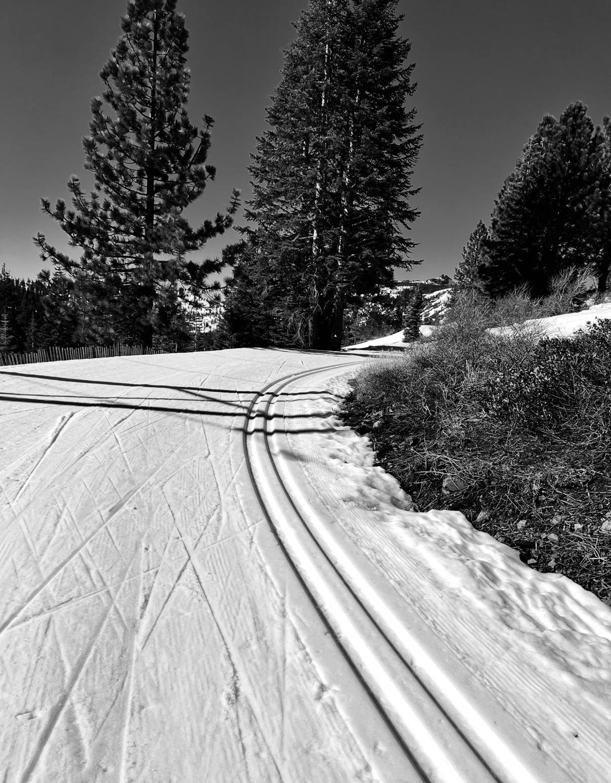 Ansel Adams Wilderness