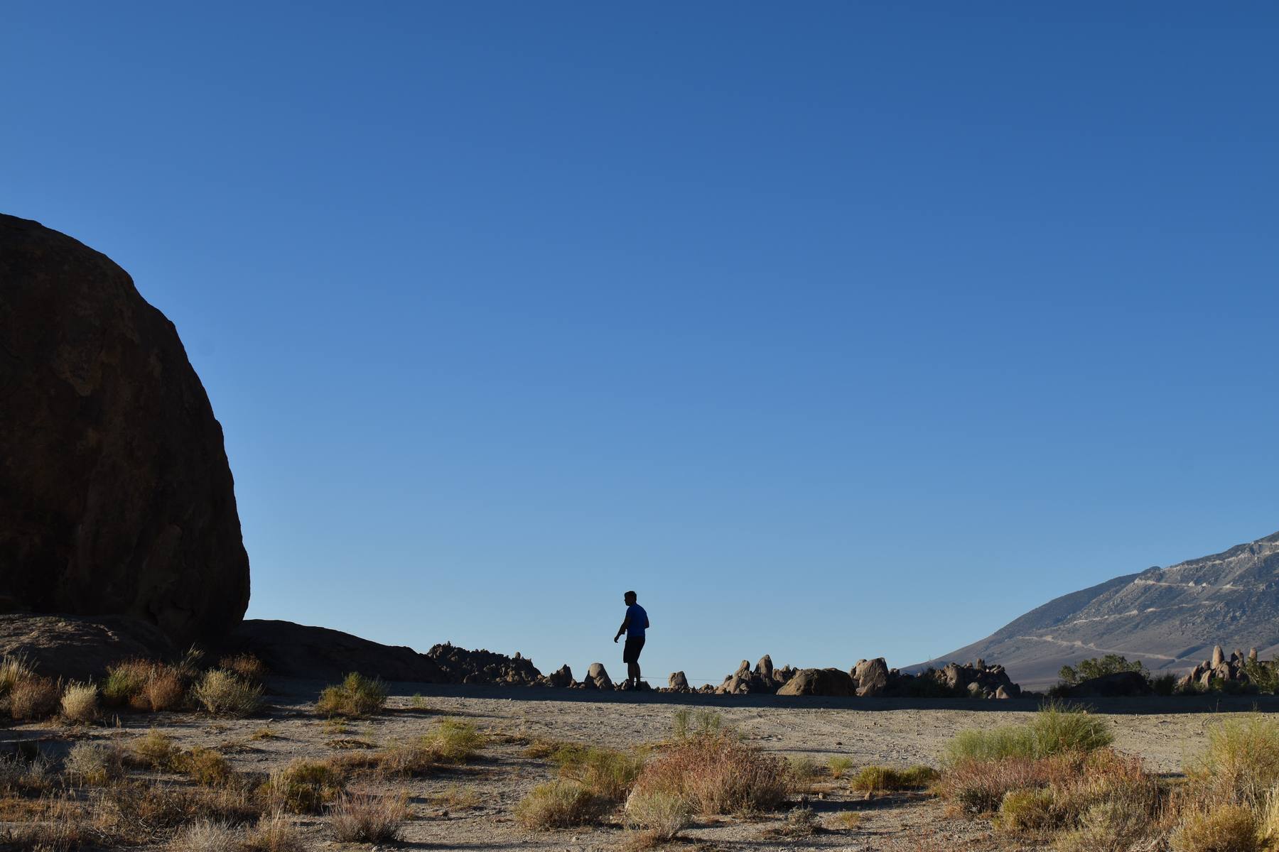 Alabama Hills silhouette