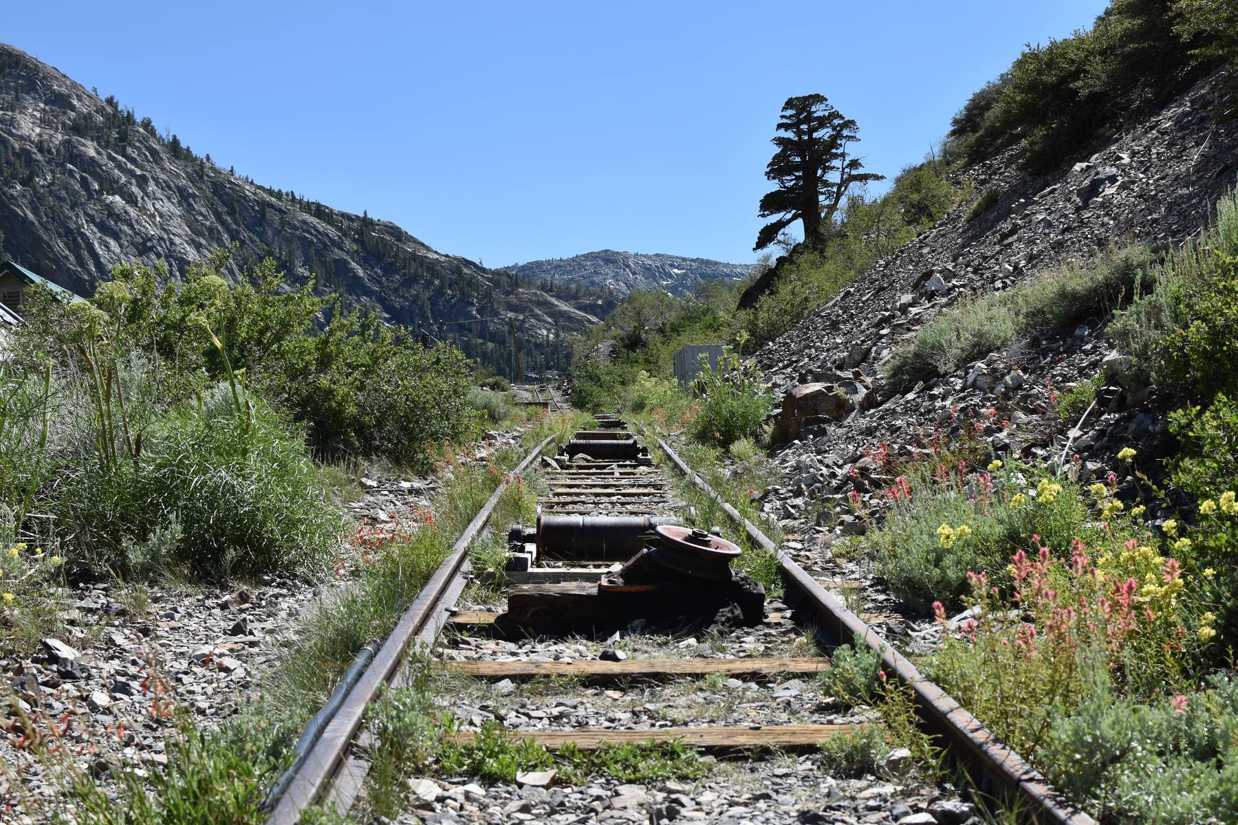 Abandoned railroad tracks, Sierra Nevada