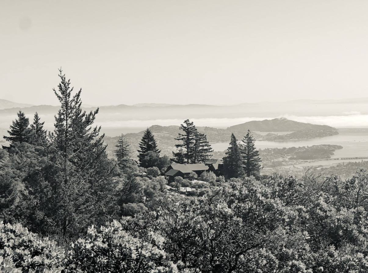 Mt. Tamalpais view, Marin